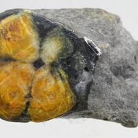 Chiastolite