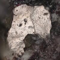 Moschellandsbergite & Tetrahedrite-(Hg)
