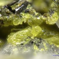 Hydrotungstite & Ferberite