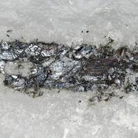 Benjaminite