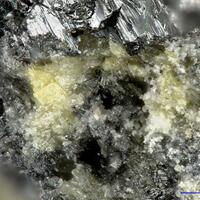 Chekhovichite Tellurium & Spiroffite