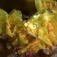 Autunite