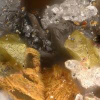 Philipsbornite