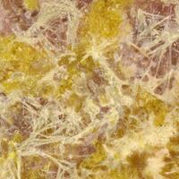 Metastudtite & Phosphuranylite