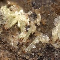 Metalodèvite