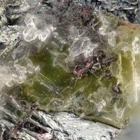 Stottite & Schaurteite