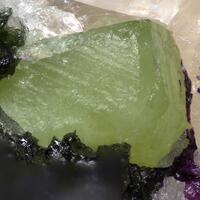 Turkestanite