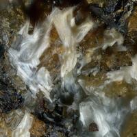 Schaurteite