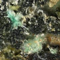 Quetzalcoatlite