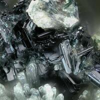 Vanarsite