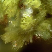 Parsonsite