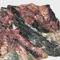 Ikranite