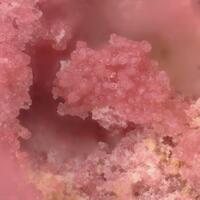 Ammoniotinsleyite