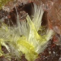 Studtite