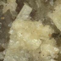 Metalodèvite