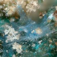 Wheatleyite