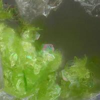 Mendozavilite-NaCu