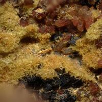 Parsonsite