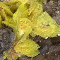 Uranocircite