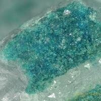 Ammineite