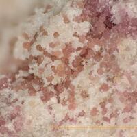 Ammoniotinsleyite