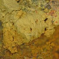 Dorallcharite