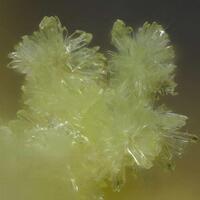 Lussierite