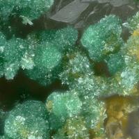 Housleyite & Markcooperite