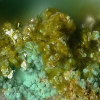 Leisingite & Goldfieldite