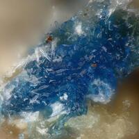 Antipinite