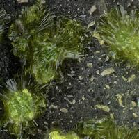 Mathesiusite