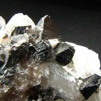 Arsenopyrite & Muscovite On Quartz