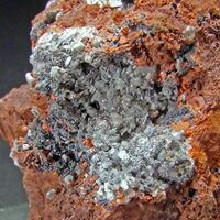 Shannonite & Hydrocerussite In Minium