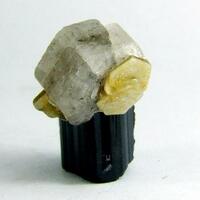 Apatite On Schorl