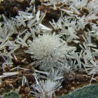 Aragonite On Siderite