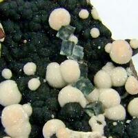 Aragonite & Fluorite On Hematite