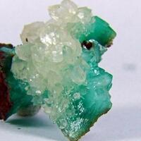 Calcite On Cuprian Adamite