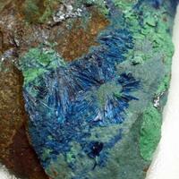 Connellite