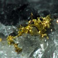 Gold In Quartz