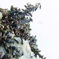 Native Silver & Acanthite