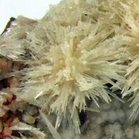 Aragonite & Calcite