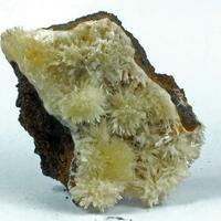 Aragonite