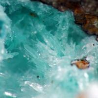 Aurichalcite & Hydrozincite