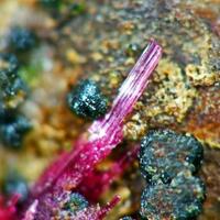 Erythrite Cobaltaustinite & Lavendulan