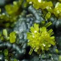 Pyromorphite On Coronadite