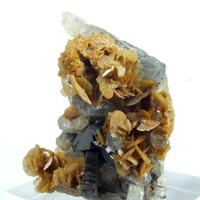 Siderite Arsenopyrite & Quartz