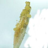 Calcite On Scolecite