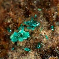 Dioptase & Pseudomalachite