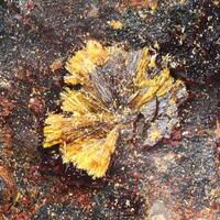 Cacoxenite & Beraunite