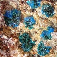 Sampleite & Apatite